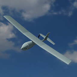 Raven UAV